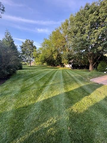 Vibrant Lawn Care and Landscaping Transformation image