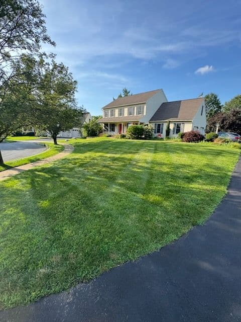Gallery photos for Vibrant Lawn Care and Landscaping Transformation: Image #1