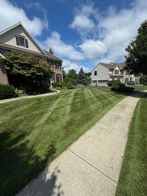 Gallery photos for Vibrant Lawn Care and Landscaping Transformation: Image #2
