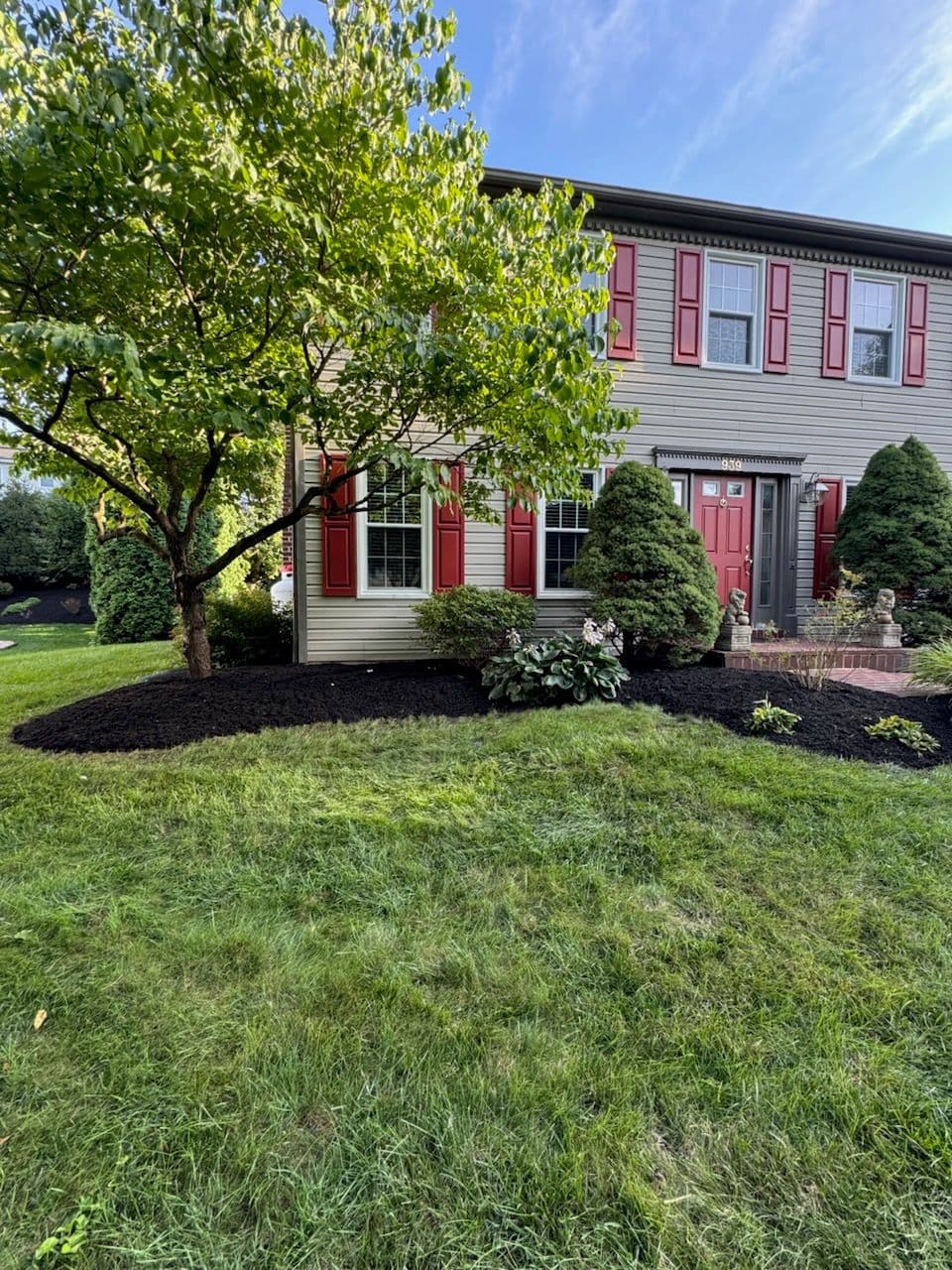Revitalize Your Yard with Expert Mulching image