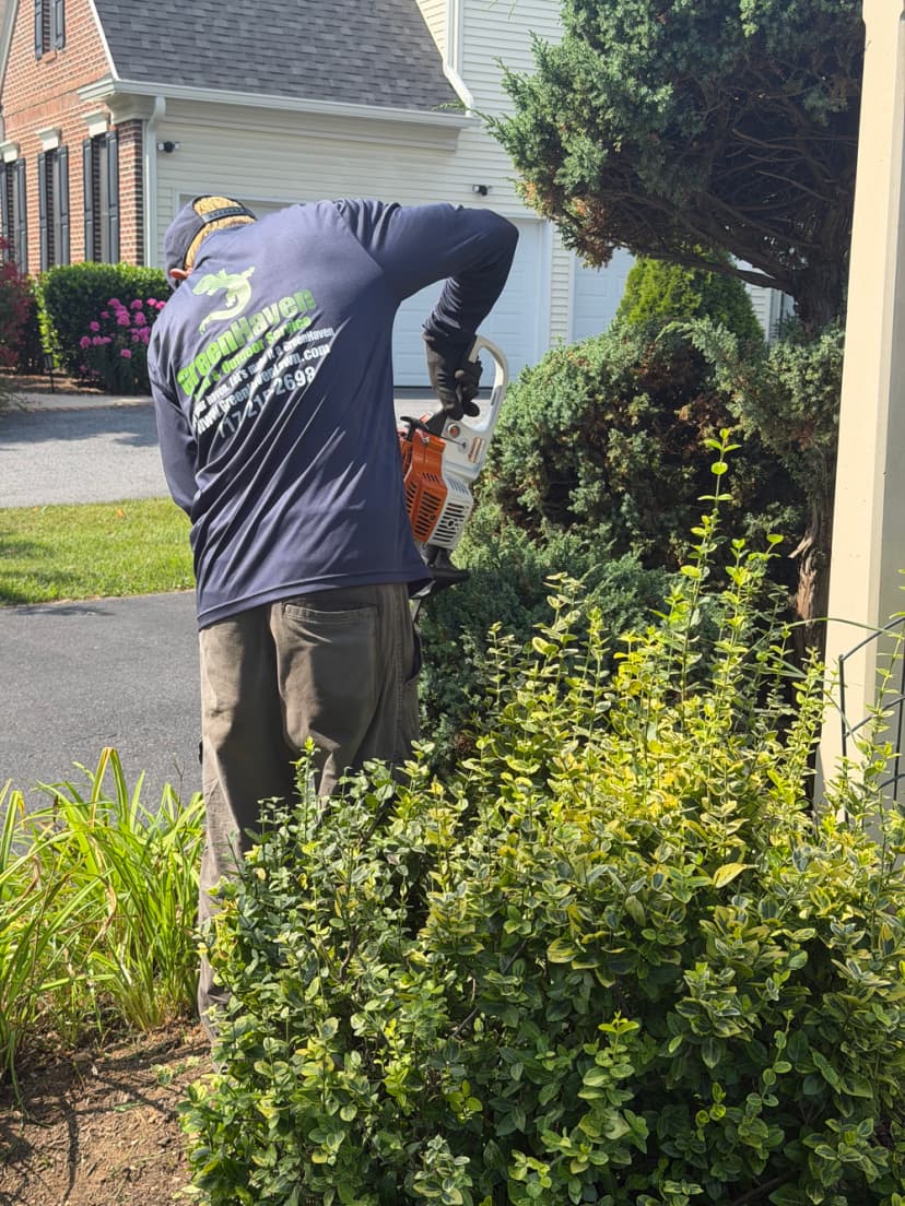 Lawn care professional trimming bushes with a hedge trimmer in residential garden.
